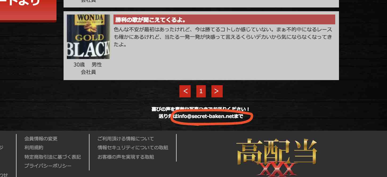 高配当XXXという競馬予想サイトにはメールで送る?